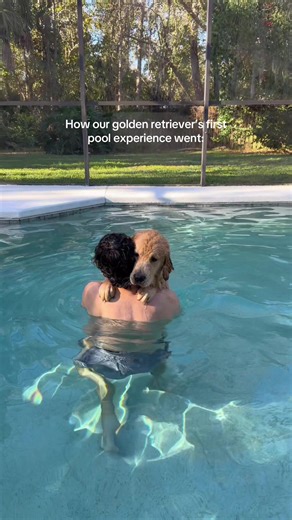 Harvey’s first dip!