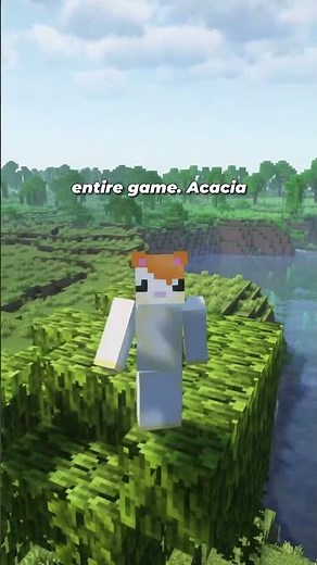 Ranking all Wood Types in Minecraft!