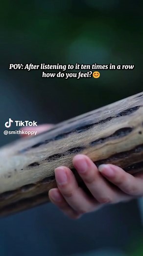 Rain Stick Sounds for Relaxation and Calmness