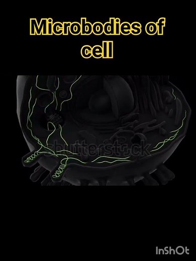 Microbodies of cell| Microbodies - Cell The Unit of Life | Class 11 Biology
