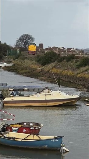 Class 50 Fearless thunders pass Cockwood with 40013 to BTM