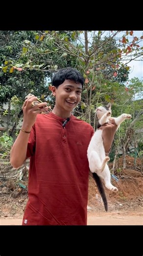 Does animal translater works?