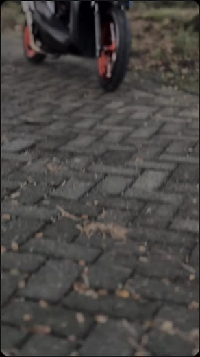 pesona beat fi🔥🔥 #fyp #beatfi #beatmodifikasi #ganteng #lewatberanda #fyppp