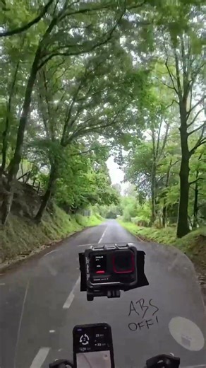 Dschungel in den Pyrenäen. Ziemlich nice!