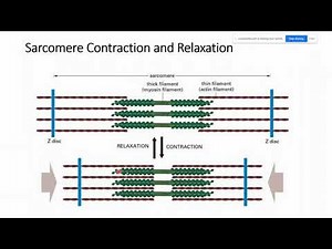 Unit 3 Exam Overview of Chapter 10