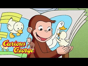 George Hatches A Duckling! 🐵 Full Episodes | Curious George - Videos For Kids