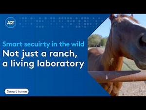 Smart Security in the Wild: How a Texas horse ranch became a proving ground for ADT's technology