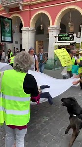280K views · 2.7K reactions | Les Gilets jaunes de Nice ont trouvé quoi faire de Macron et de sa politique ! | Cerveaux non disponibles | Facebook