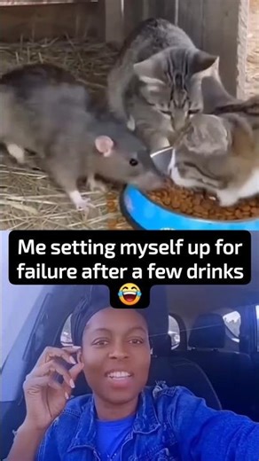 Me setting myself up for failure after a few drinks 😂