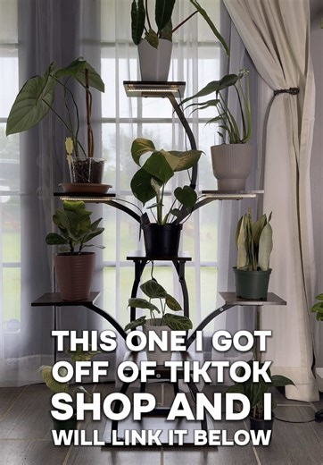 Unique Plant Shelf Ideas to Elevate Your Space