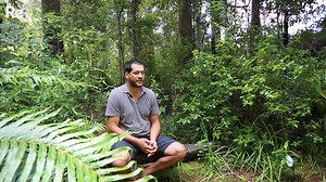 41K views · 328 reactions | 'We're sitting in the middle of a sick forest'. Kauri dieback is a major issue killing our native flora, is it nature trying to tell us something? 鹿 | Re: News | Facebook