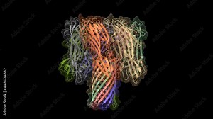 Crystal structure of alpha-hemolysin, animated 3D cartoon and Gaussian surface models in two purpendicular projections, chain id color scheme, based on PDB 3anz, black background