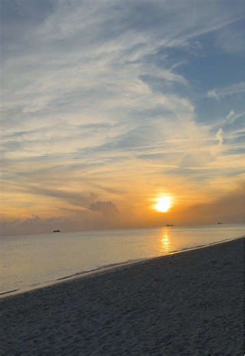 New shelling spot unlocked🤭 #shells #bahamas #beach #sunset #shell | Sunset