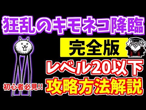【にゃんこ大戦争】狂乱のキモネコ降臨（キモフェス）の攻略方法を徹底解説！攻略のポイントは○○で戦略を変える！低レベル無課金キャラでも簡単です【The Battle Cats】