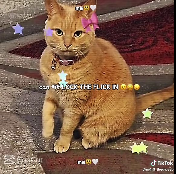 Miniature Carbonated Beverage: The Fun Video Everyone Needs