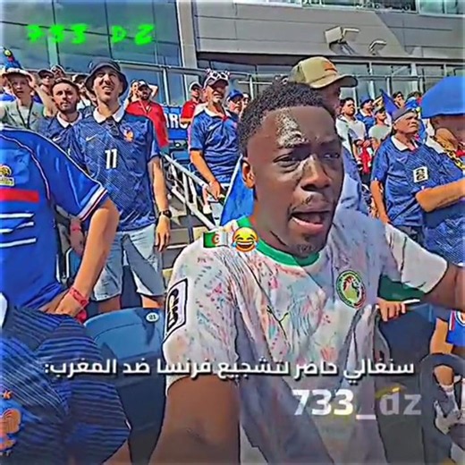 سنغالي يشجع في فرنسا ضد المغرب 🤣🇩🇿 #algerie #الجزائر #كأس_العالم #المغرب #المنتخب_الجزائري #morocco