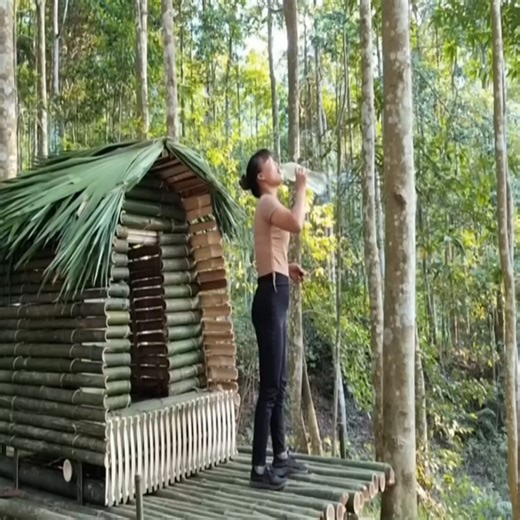6.2K views · 98 reactions | Building a Bamboo Shelter Alone in the Wilderness #survival #camping #adventure #video | Kaleb Mountain life | Facebook