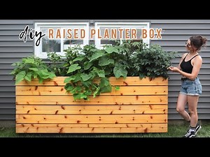 Starting My First Garden!