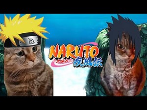 CAT MEMES: Naruto