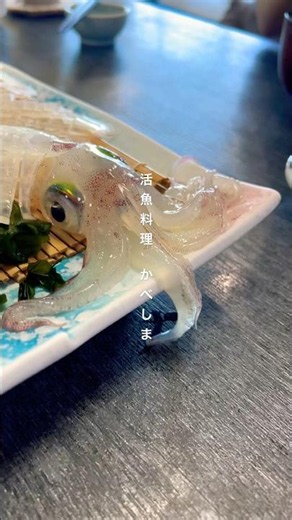 新鮮なイカの活き造りを堪能するなら『活魚料理 かべしま』Fresh live squid sashimi you must try🦑