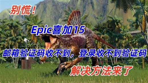 别慌！Epic 邮箱验证码收不到，登录收不到验证码的解决办法来了！