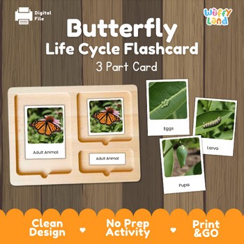 Butterfly Life Cycle Montessori 3-Part Cards - Science Zoology Flashcards