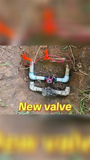 Crazy Roots! Check out the huge tree roots on this job