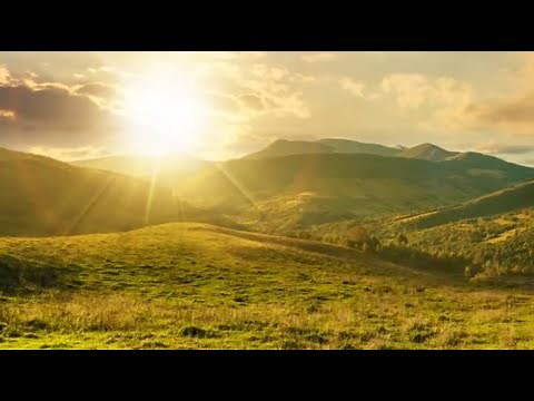 The Weight Band "Shines Like Gold" Official Music Video