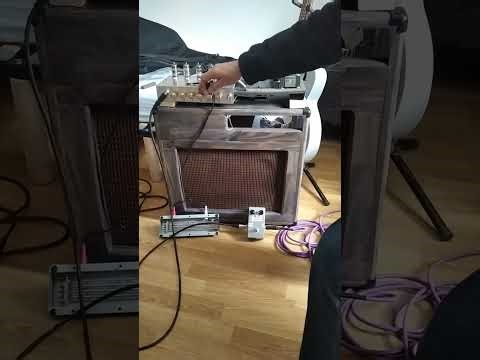 Test clone Deluxe reverb /Hortson 6V6 et Fuzzrite