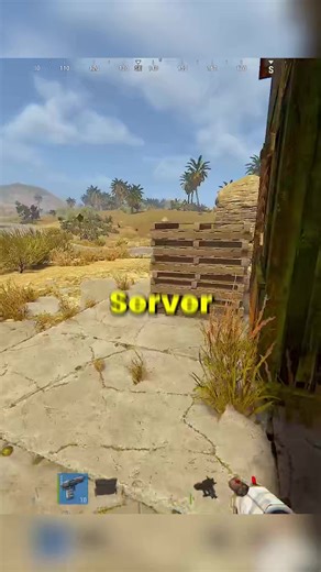 Solo Play Strategies in Rust Game