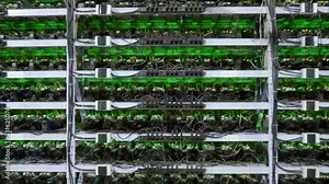 Cryptocurrency mining equipment on large farm. ASIC miners on stand racks mine bitcoin in server room. Blockchain techology application specific integrated circuit. Steadycam camera moves back away.
