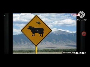 Reaction To Microsoft Sam reads Weird and Crazy Signs THE SEVENTH