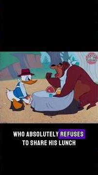 A Picnic with the Bear