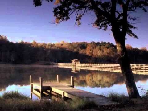 Born Country - Alabama