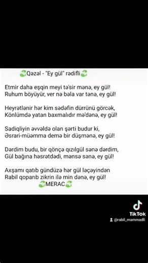 🍃"Etmir daha eşqin meyi tə'sir mənə, ey gül!"🍃