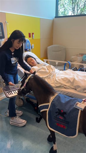 Mini Therapy Horses on Instagram: "Black Pearl loves to wake up kids out of anesthesia with her keyboard 🎹 playing at Shriners for Children Medical Center. We welcome a donation of ANY SIZE to support our nonprofit organization at www.minitherapyhorses.com @shrinerssocal #minitherapyhorses #horse #minihorse #anesthesia #compassion #motivation #medical #recovery #surgery #children #kids #hope #healing @rose_parade #comfort #family @musichashealingpower"