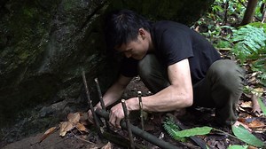 Survival in the tropical rainforest, ep 19, how to make effective traps Although it found a good place, it was a large cave. There may be water in the cave but the cave is very dark. To get in there must be a big fire. Perhaps around here there will be many necessary materials. If it is impossible to find a suitable water source, this place cannot stay long. The food is very much but it is necessary to have a plentiful source of water, a large area of land and plenty of sunshine to survive in th