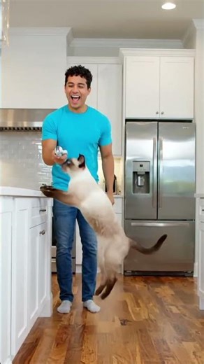 funny cat man video #viral