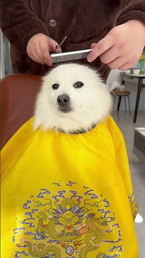 The Ultimate Crew Cut Guide: Handsome Guys' Secret Weapon