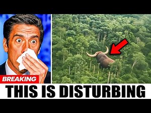 Strange Footage from the Amazon That Shocked Scientists