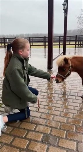 The World’s Smallest Horse 🐴😍( Tiny but mighty #MiniHorse #CuteAnimals #Shorts