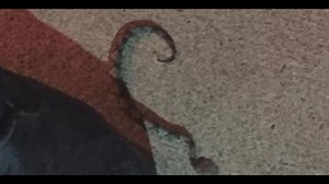 Virginia woman recovering from copperhead bite at restaurant