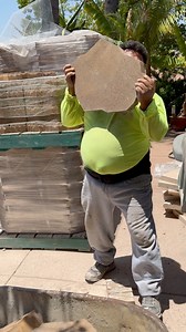 Carga la carretilla | Vinny the twister