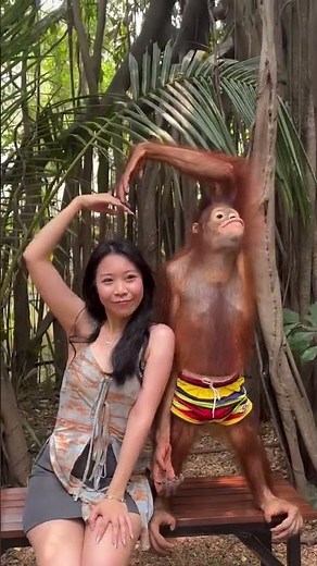 Orangutan's Gentle Connection with Woman 🧡🌿 | #Primate #Nature