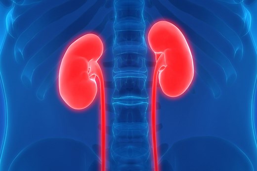 Living Kidney Donor Transplant