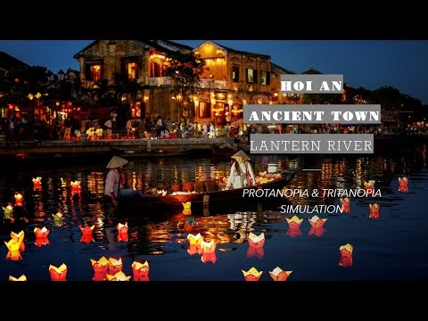 Hoi An, Vietnam: Lantern River: What Colorblind Eyes Truly See | Protanopia & Tritanopia