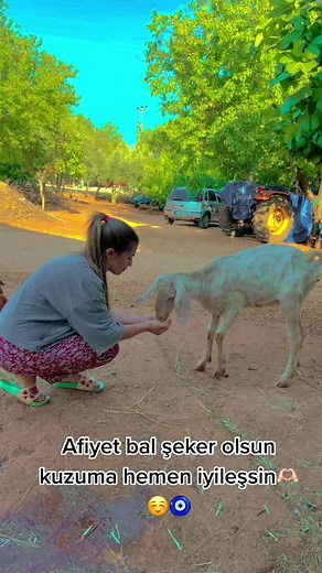 Young Woman Feeding Goat in Scenic Outdoor Setting