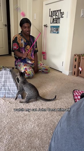 my cat John Cena’d himself 😹 w/ Kat Curtis & KAL Smith | One eared uno