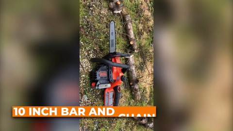 Electric chainsaws are taking over - here are the best ones in 2026