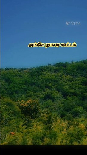 Ila Nenje Vaa - K.J. Yesudas | Ilayaraja Melody | Tamil Song for Peaceful Nights